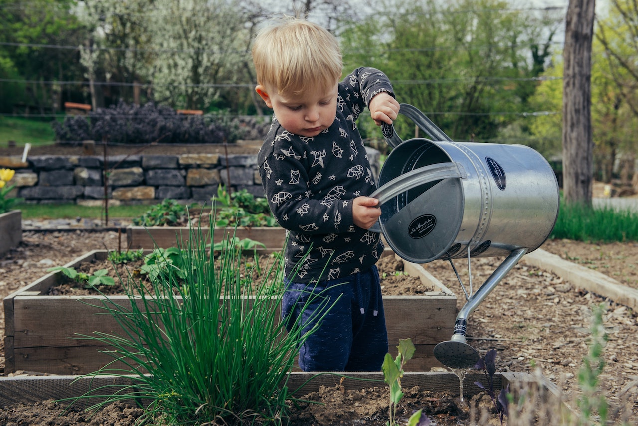3 Top Gardening Tips for Beginners